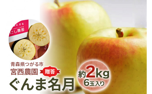 贈答用] ぐんま 名月【約2kg 6玉入り】糖度15度以上の蜜入りりんご ...