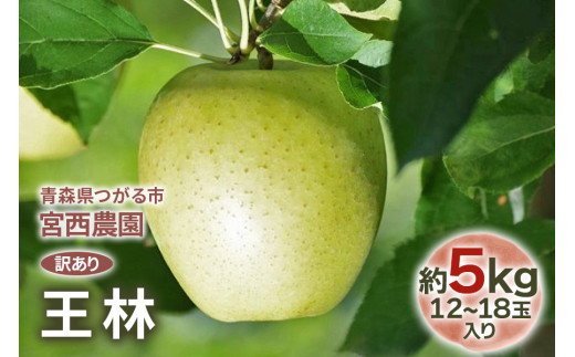 ふるさと納税 りんご 青森県 青森市 令和7年1月下旬頃発送 産地直送 青森県産 訳ありサンふじ 5キロ箱 10〜23玉 青森県産りんご 1288123 訳あり] 王林約5kg 12から18玉入り芳醇な香りの青りんご｜ 令和7年