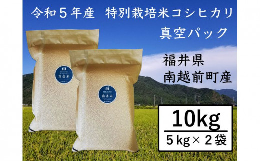 南条米コシヒカリ 真空パック精米5kg×2セット 計10kg [№5892-0078