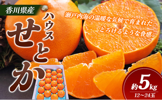 瀬戸内産柑橘ジュース(せとか) （小豆島 】 ハウスせとか 約5kg