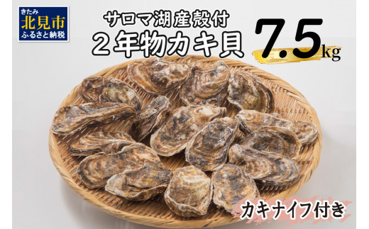 【カキナイフ付】海のミルクサロマ湖産殻付2年物カキ貝 7.5kg 60