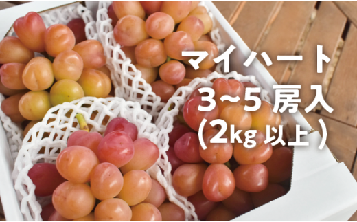 【日本産】マイハート房付き6キロ 果物