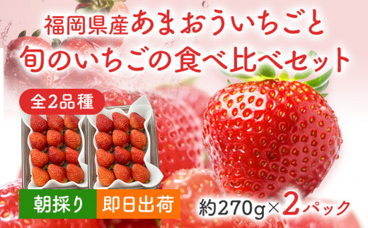 冷凍あまおう スムージー専用150g×８パック CD22 - 福岡県大木町