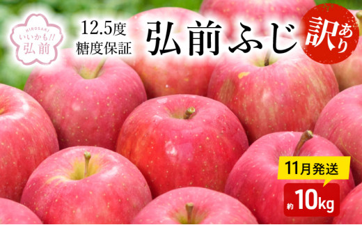 11月発送】（12.5度糖度保証）訳あり品弘前ふじ約10kg【弘前市産・青森