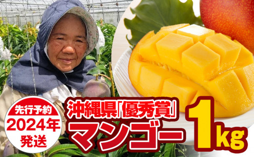 2024年発送】芳醇な香り とろける食感 沖縄県「優秀賞」マンゴー1kg