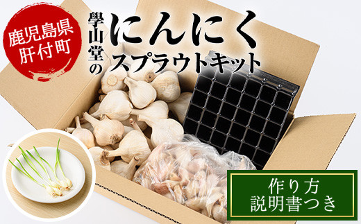 A69005 ＜先行予約受付中！2026年5月下旬以降準備が整い次第順次発送