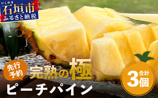 石垣島産　ピーチパイン 味に自信あり！】ジューシーでピーチのような香り！ 【石垣島産