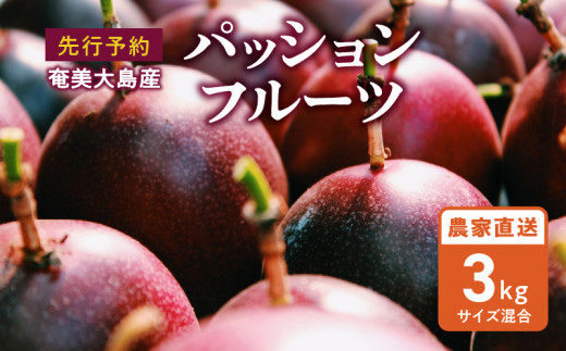 奄美大島産　パッションフルーツ　農薬・化学肥料不使用　24kg 2026年先行予約】農薬・化学肥料不使用 奄美パッションフルーツ
