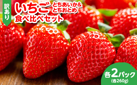 《先行受付》訳あり いちご とちあいか＆とちおとめ 約260g各2