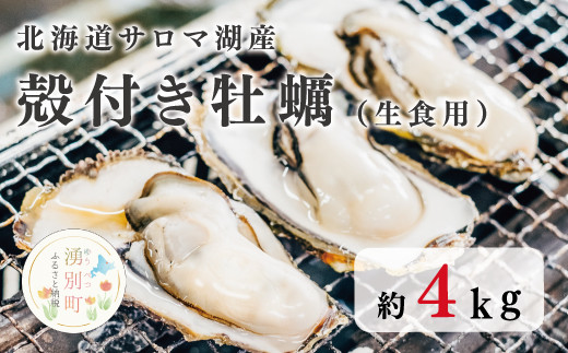 【国内消費拡大求む】[№5930-0311]北海道 サロマ湖産 殻付き牡蠣