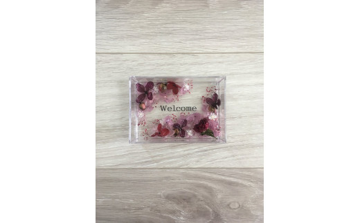 yޗǌc{zn[oEv[g Welcome iICʃ^Cvj p[v ^ kanon CeA vU[uht[ hCt[ nhChi ޗǌ c{