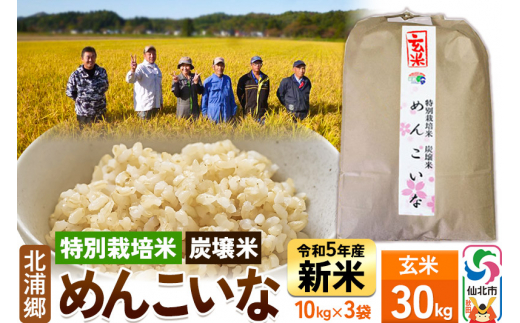 新米【特別栽培米 炭壌米 めんこいな】令和5年産 玄米 10kg (11月上旬