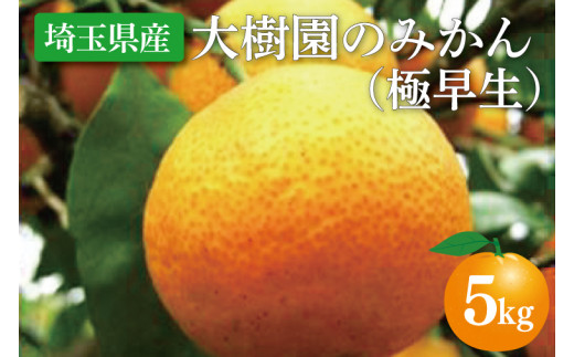 yʌtsẑ݂iɑj5kgyʕ L@͔|  ts ʌziCH002-1j