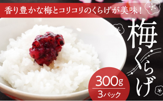 yɌ̎szH-84yYIB썂~gpz~炰300g×3pbN