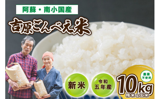 令和4年産 南小国町産のお米あきげしき 10kg - 熊本県南小国町