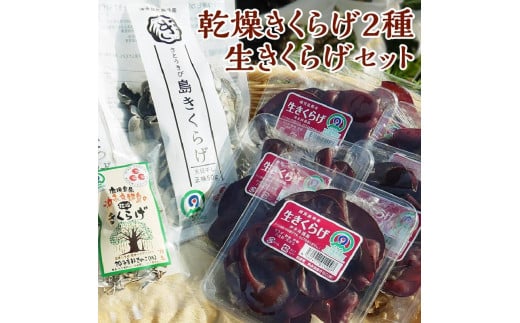 乾燥きくらげ50g×1袋/乾燥きくらげ10gスライス×1袋/生100g×6p【ポイント交換専用】 - 鹿児島県和泊町｜ふるさとチョイス -  ふるさと納税サイト