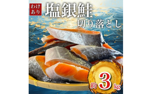 訳あり＞人気の海鮮お礼品 チリ産 定塩 塩銀鮭切り落とし(端材)約3kg