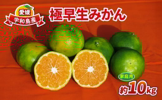 みかん 極早生みかん 家庭用 10kg 先行予約 ワールド