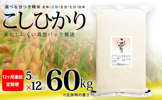 平成30年度 徳島県産 玄米こしひかり 25キロ - 米/穀物