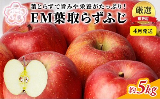 4月発送 贈答用 EM葉取らずふじ 約5kg（有袋栽培・CA貯蔵）【弘前市産・青森りんご】