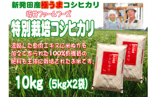 令和5年産 坂井ファーム 特別栽培米コシヒカリ 10kg (5㎏×2袋) 【 新潟