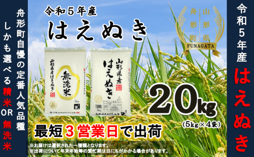 令和5年産】はえぬき20kg（5kg×4袋） 選べる“精米or無洗米” - 山形県