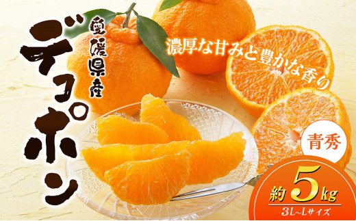 愛媛県産JA正規品 デコポン（青秀）5Kg 3L～L（2025年3月～順次