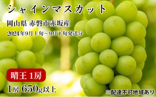 ぶどう 2024年 先行予約 シャイン マスカット 晴王 1房 650g以上 2024年9月上旬～9月下旬発送分 ブドウ 葡萄 岡山県 赤磐市産 国産  フルーツ 果物 ギフト 赤坂青空市