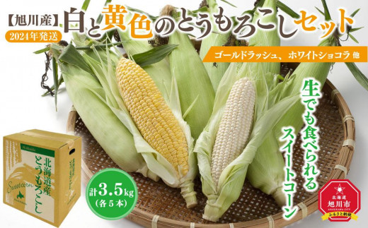 【先行予約】【旭川近郊産】白と黄色のとうもろこしセット　各5本（計3.5kg）(2024年8月上旬発送開始予定)_00094