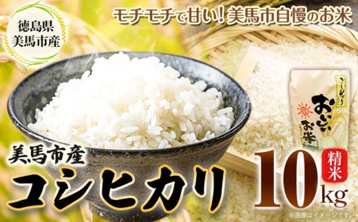 米 10kg 令和6年産 コシヒカリ《30日以内(土日祝除く)に出荷》精米10kg 美馬市産 アグリサポート美馬 コシヒカリ 米 白米 白米10kg  精米 送料無料 徳島県 美馬市 - 徳島県美馬市｜ふるさとチョイス - ふるさと納税サイト