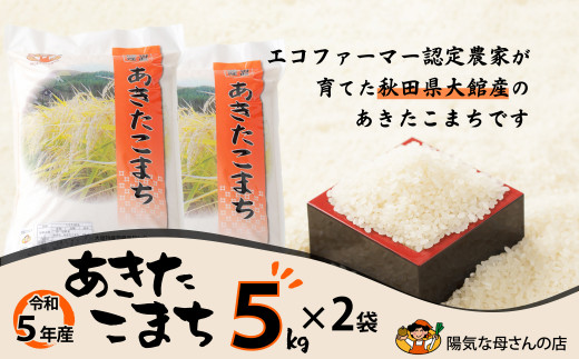 新米5年産山形あきたこまち白米30k(1０k×3)-