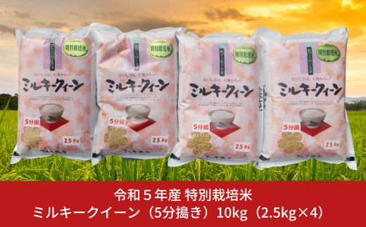 特別栽培米 ミルキークイーン 10kg（2.5kg×4） 5分搗き 新潟県産 令和5