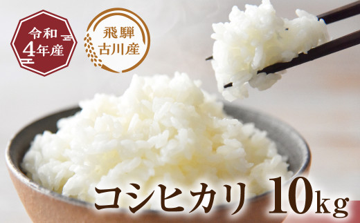令和4年産 飛騨古川産コシヒカリ 10kg 10キロ お米 精白米 - 岐阜県