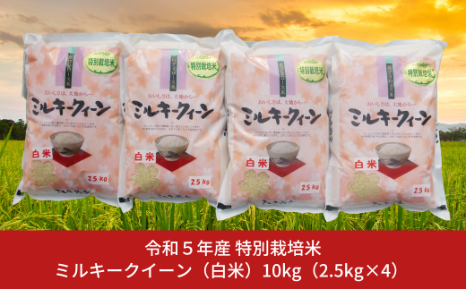 特別栽培米 ミルキークイーン 10kg（2.5kg×4） 玄米 新潟県産 令和5