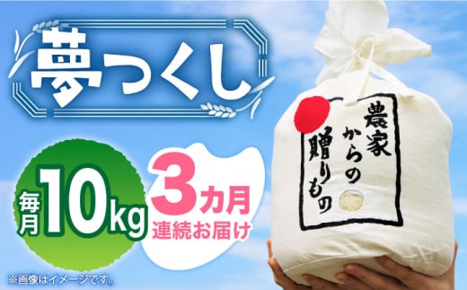 令和5年産予約受付】ひかりファーム の 夢つくし 4kg《築上町