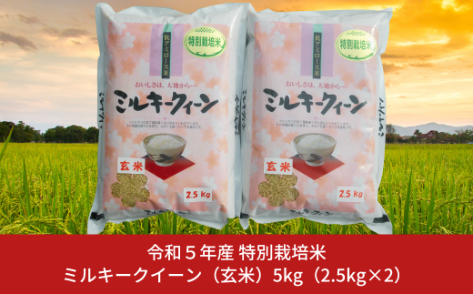 新米 特別栽培米 ミルキークイーン 5kg（2.5kg×2） 玄米 新潟県産 令和