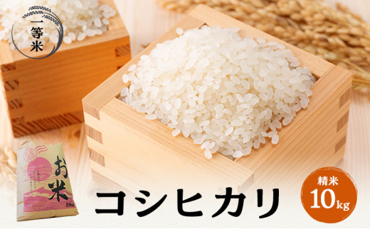 食品ゆきさん　専用‼️ おいしい お米  三重県産コシヒカリ 一等米　15kg 新米