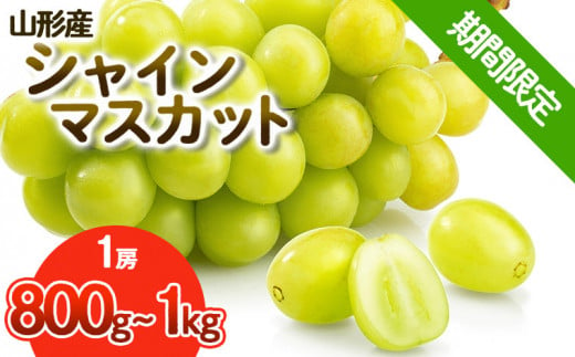 期間限定】希少！冬の大粒大房のシャインマスカット 秀品 1房(800g～1kg) FY23-710 - 山形県山形市｜ふるさとチョイス -  ふるさと納税サイト