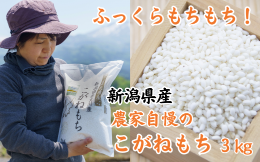 新潟県産 もち米『こがねもち』3kg 令和5年産新米 ふっくらモチモチ