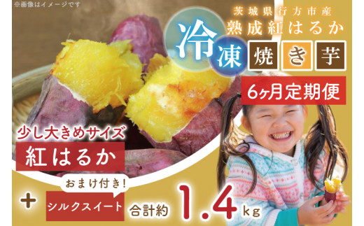 EY-16　【6ヶ月定期便】茨城県行方市産熟成紅はるか少し大きめサイズ冷凍焼き芋約1.2キロ！おまけ付‼合計約1.4キロ!!!