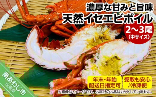 yɌ삠킶szySⓀցzyNNnzwzCV̉lIVRCZGr{Ci2`3j