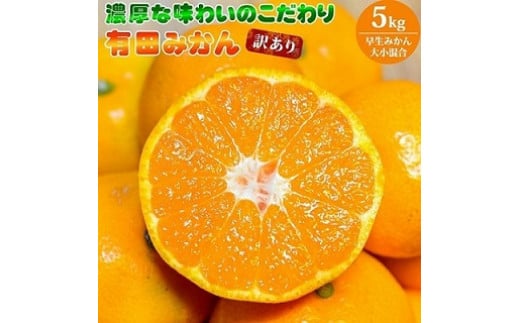 【和歌山県湯浅町】EA6034n_(訳あり 家庭用)濃厚な味わいのこだわり 有田みかん 5kg (早生みかん・大小混合)