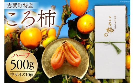 yΐ쌧u꒬z` ` w ` x 500g (TCY 10)  [߂ ΐ쌧 u꒬ AE4126] ʕ  ق` `  Ԍ Gߌ ʌ ΐ쌧Y