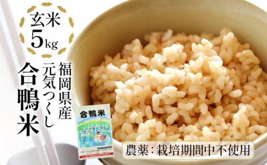 令和5年産 合鴨米「元気つくし」栽培期間中農薬不使用（玄米・5kg）数量限定 BI09