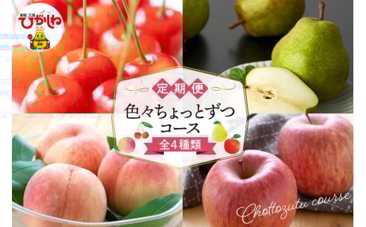 絵本 定期便 さくらんぼコース 11冊まとめ売り 2025年先行予約 4回 定期便】色々ちょっとずつ コース 山形県