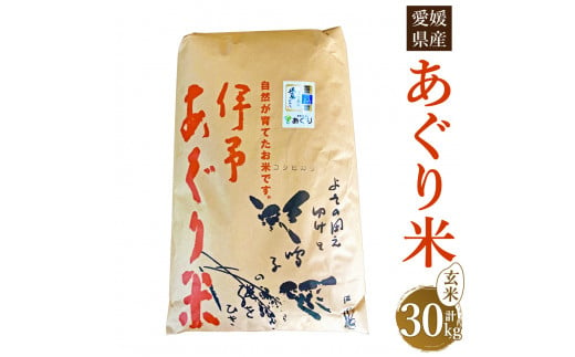 令和5年産】あぐり米（コシヒカリ） 玄米 計30kg 10kg×3袋 農薬・化学肥料不使用 コシヒカリ玄米 伊予あぐり米 こしひかり 米 こめ お米  おこめ 単一原料米 検査済 国産米 お取り寄せ 国産 愛媛県【えひめの町（超）推し！（松前町）】(277) - 愛媛県｜ふるさとチョイス ...