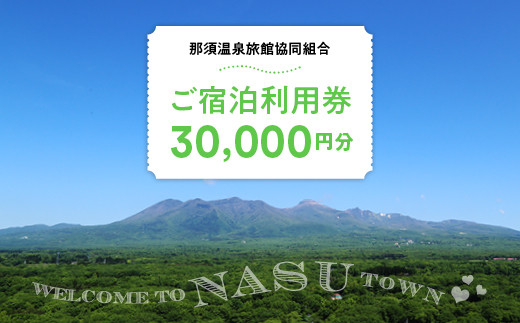 那須温泉旅館協同組合 ご宿泊利用券 30,000円分（3,000円×10枚）〔G-16 