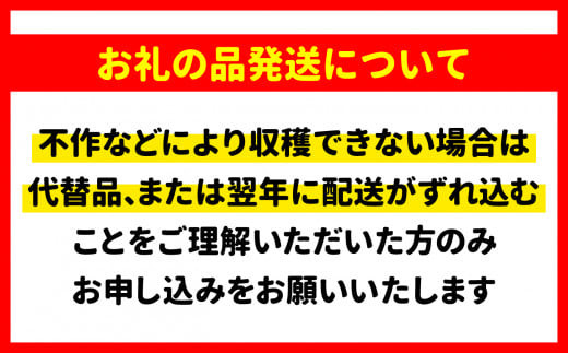 先行予約》【令和6年10月より発送】大槌産 まつたけミックスサイズ200g