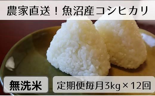 定期便／全12回】無洗米3kg 新潟県魚沼産コシヒカリ「山清水米