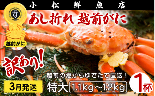 【訳あり】足折れ 越前がに 特大サイズ × 1杯（1.1～1.2kg）地元で喜ばれるゆで加減・塩加減で越前の港から直送！【雄 ズワイガニ ずわいがに  姿 ボイル 冷蔵 福井県】【3月発送分】希望日指定可 備考欄に電話番号をご記入ください [e23-x014_03]